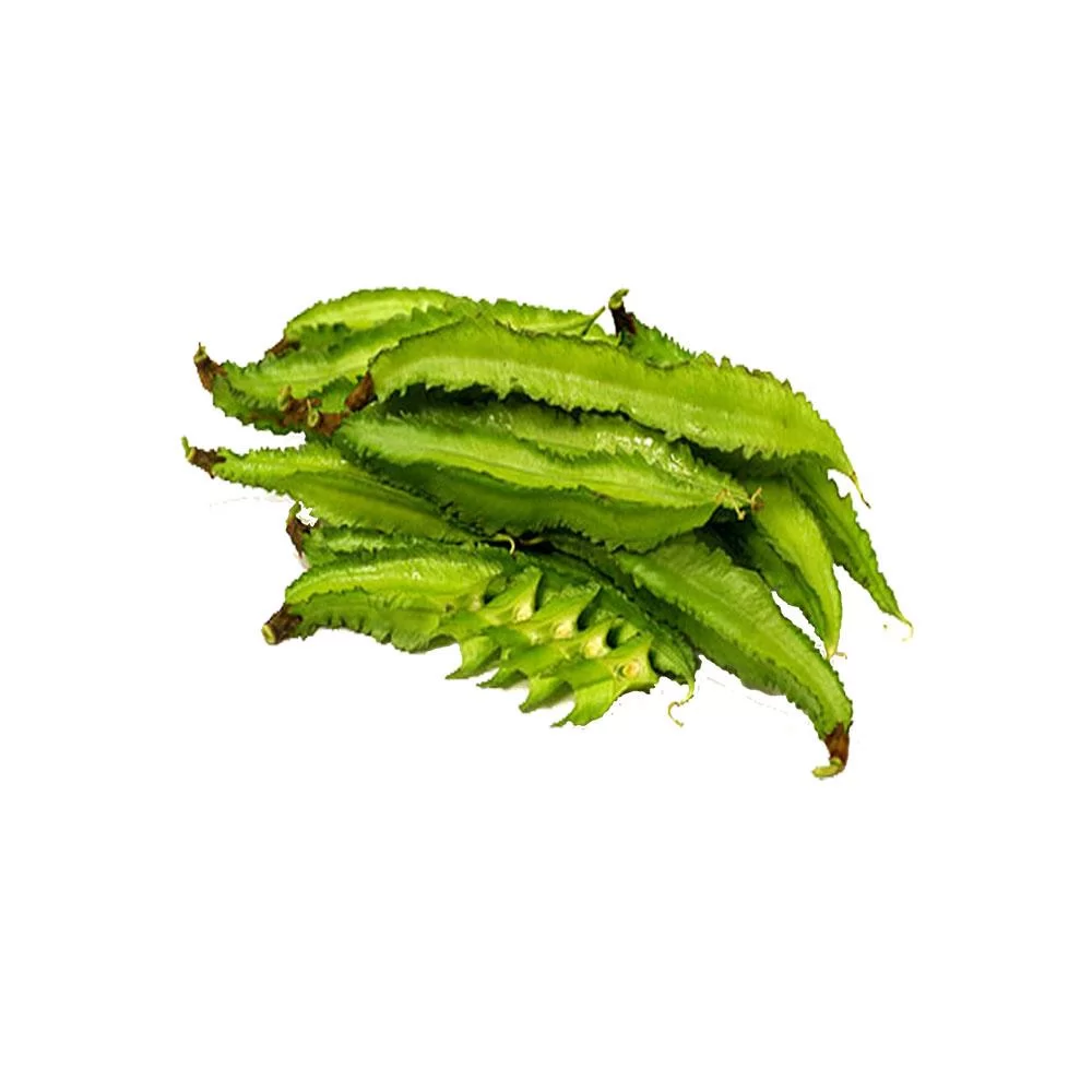Winged Bean